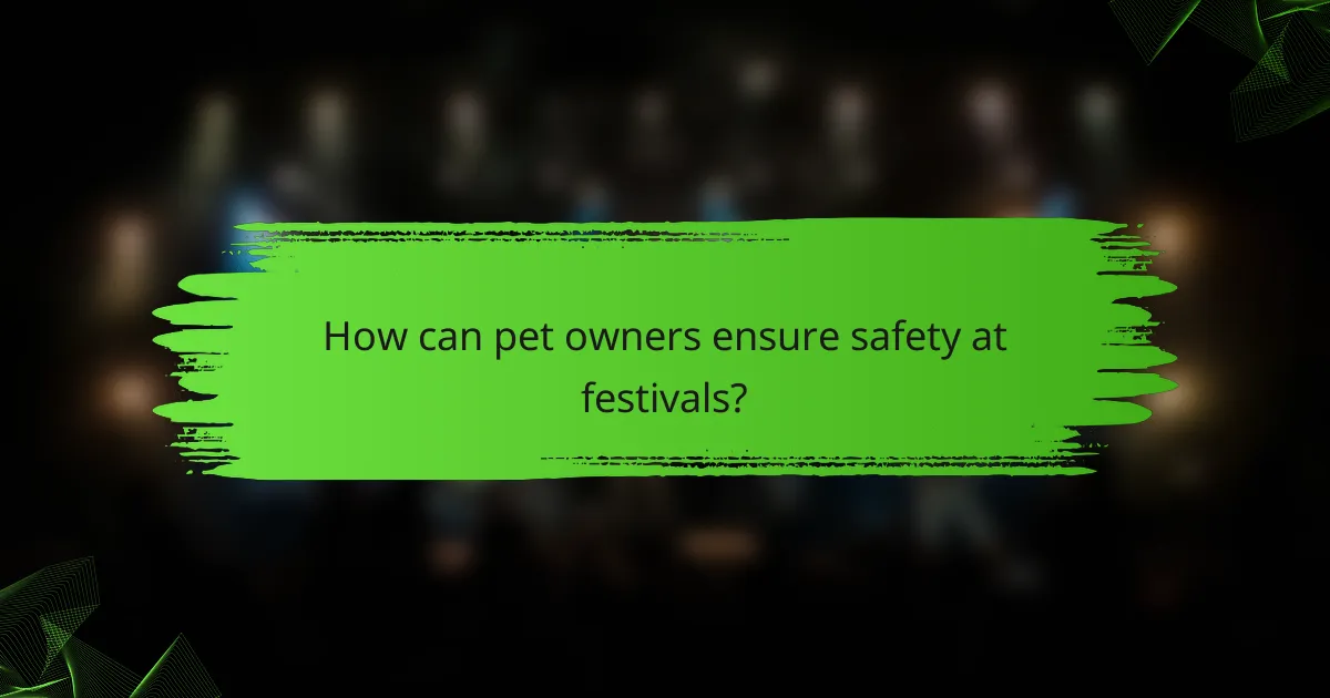 How can pet owners ensure safety at festivals?