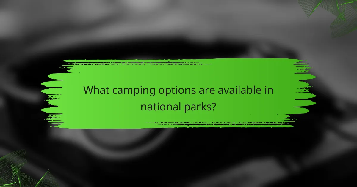 What camping options are available in national parks?